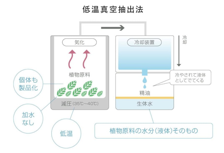 オーキッドエキス